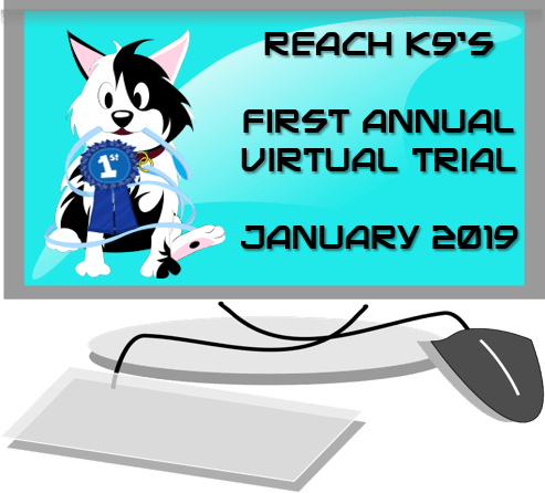 2019 Virtual Trial