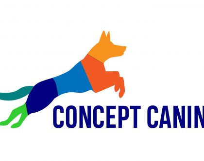 Concept Canine: Building Blocks for Success