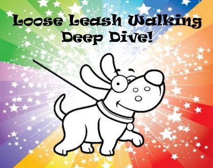 New Online Course: Loose Leash Walking Deep Dive